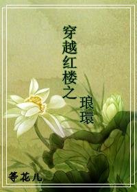 (红楼梦同人)穿越红楼之琅环/穿越红楼之琅環