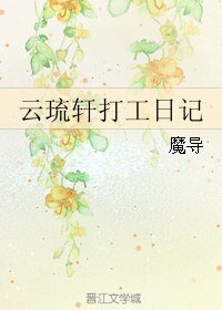 (霹雳同人)云琉轩打工日记