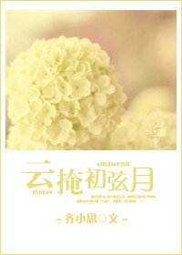雲掩初弦月