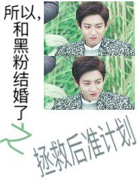 (韩娱同人)所以,和黑粉结婚了之拯救后准计划