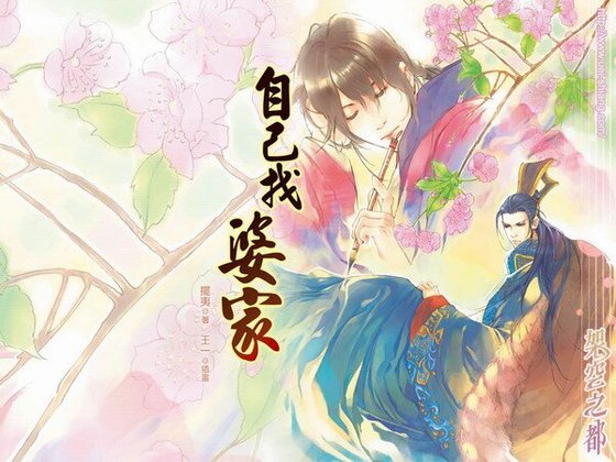 自己找婆家(出書版)