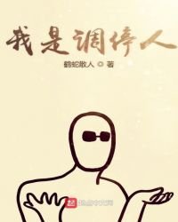 我是调停人