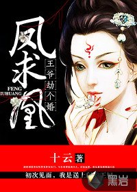 凤求凰:王爷劫个婚