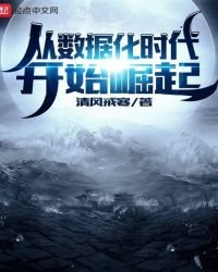 從資料化時代開始崛起