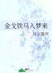 金戈铁马入梦来