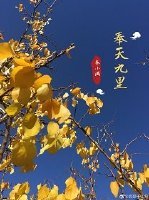 奉天九里