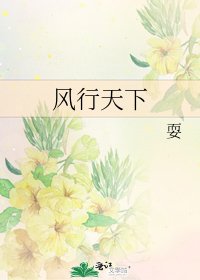 風行天下