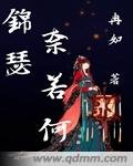 錦瑟奈若何
