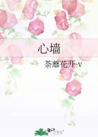 心墙