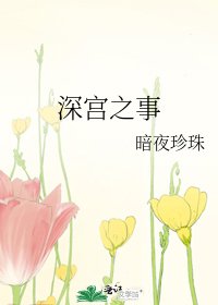 小公去宫斗