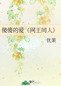 傻傻的愛(網王同人)