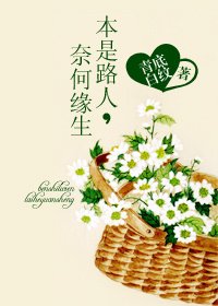 (穿書)本是路人,奈何緣生
