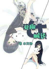 荣耀女解说