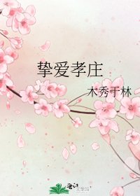 挚爱孝庄