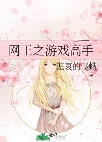 网王之游戏高手