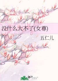 没什么大不了(女尊)