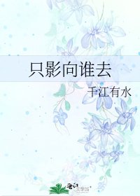 隻影向誰去