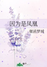 因为是凤凰