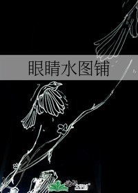 眼睛水图铺