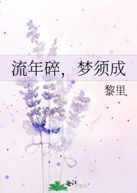 流年碎,梦须成