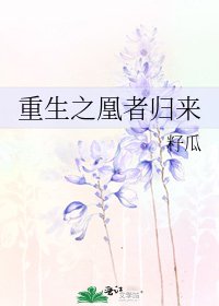 重生之凰者归来