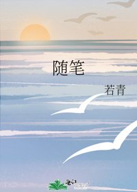 随笔