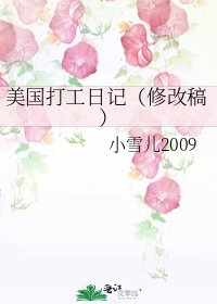 美国打工日记(修改稿)