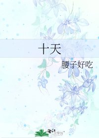 十天
