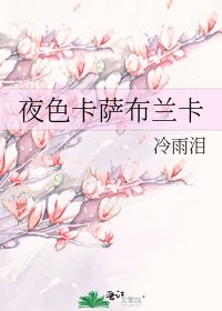 夜尊卡薩布蘭卡