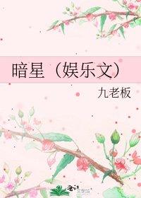 暗星(娱乐文)