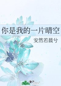 你是我的一片晴空