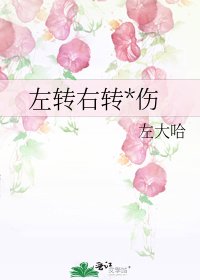 左转右转*伤