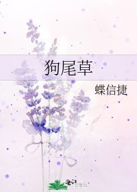狗尾草
