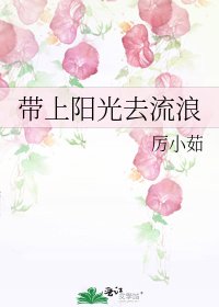 帶上陽光去流浪