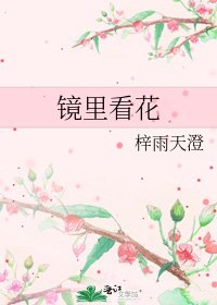 鏡裡看花
