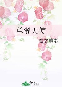 單翼天使