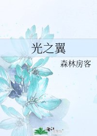 光之翼
