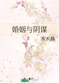 婚姻与阴谋