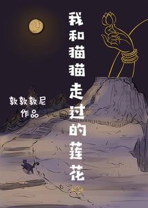 我和猫猫走过的莲花