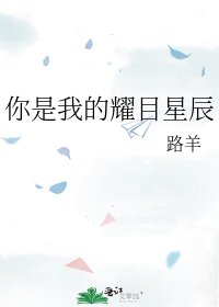 你是我的耀目星辰