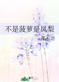 不是菠萝是凤梨
