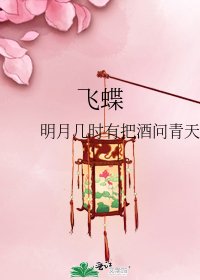 飞蝶