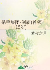 殺手集團-劍剎(首領15歲)