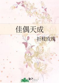 佳偶天成