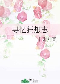 寻忆狂想志