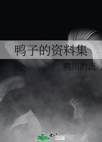 鸭子的资料集