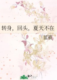 转身,回头,夏天不在