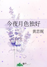 今夜月色独好
