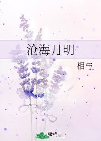 沧海月明