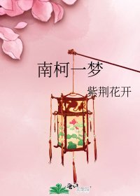 南柯一梦